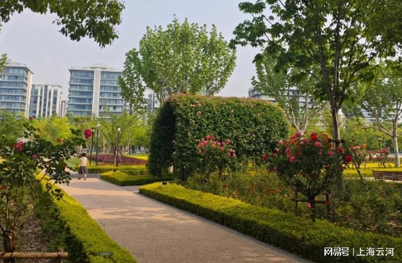 开云官网-外地人没有义务让上海繁华起来，让上海繁华起来这是上海人的义务